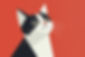 Stylized Cat Illustration