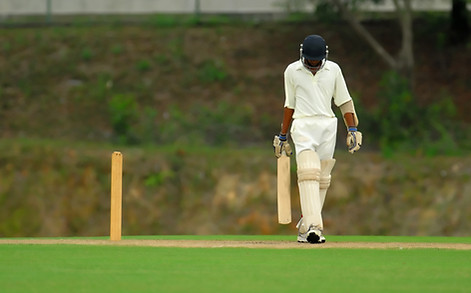 Playing Cricket