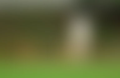 😱 కోహ్లీ-రోహిత్ రిటైర్మెంట్ సందడి: ఇది ఒక యుగానికి ముగింపునా? 🏏🔥