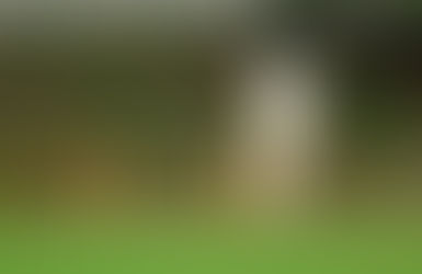 😱 కోహ్లీ-రోహిత్ రిటైర్మెంట్ సందడి: ఇది ఒక యుగానికి ముగింపునా? 🏏🔥