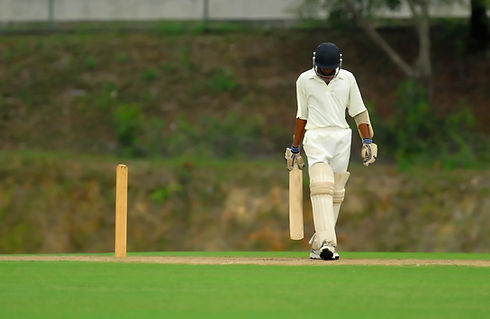 Playing Cricket