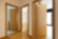 Interior of an apartment with wooden doors