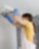 Detailed Dusting and Cleaning