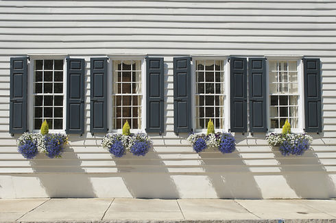 Shuttered windows decorated with flowers and plants in the wall of an eighteenth century h