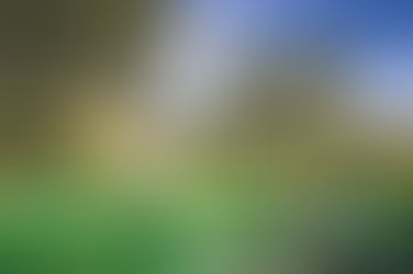 Vendemmia turistica: come gestirla in sicurezza