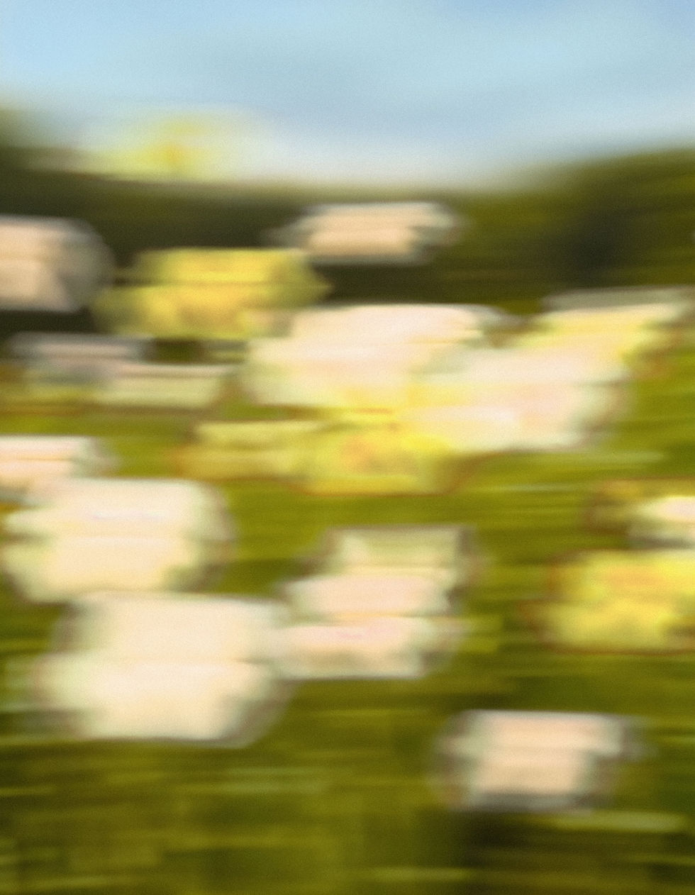 Blurred Floral Scene