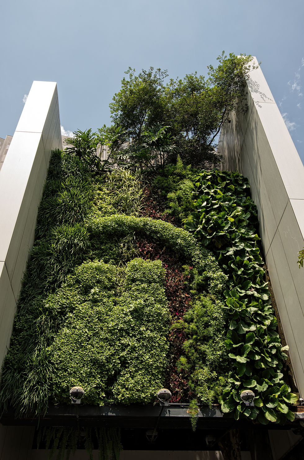 Giardino verticale