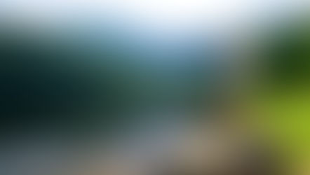 L'été en Allemagne : étonnamment rafraîchissant ! Et pourquoi pas!