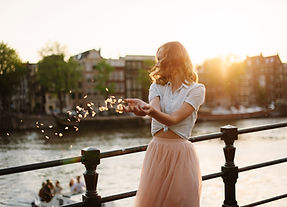 Looking for Academy Course