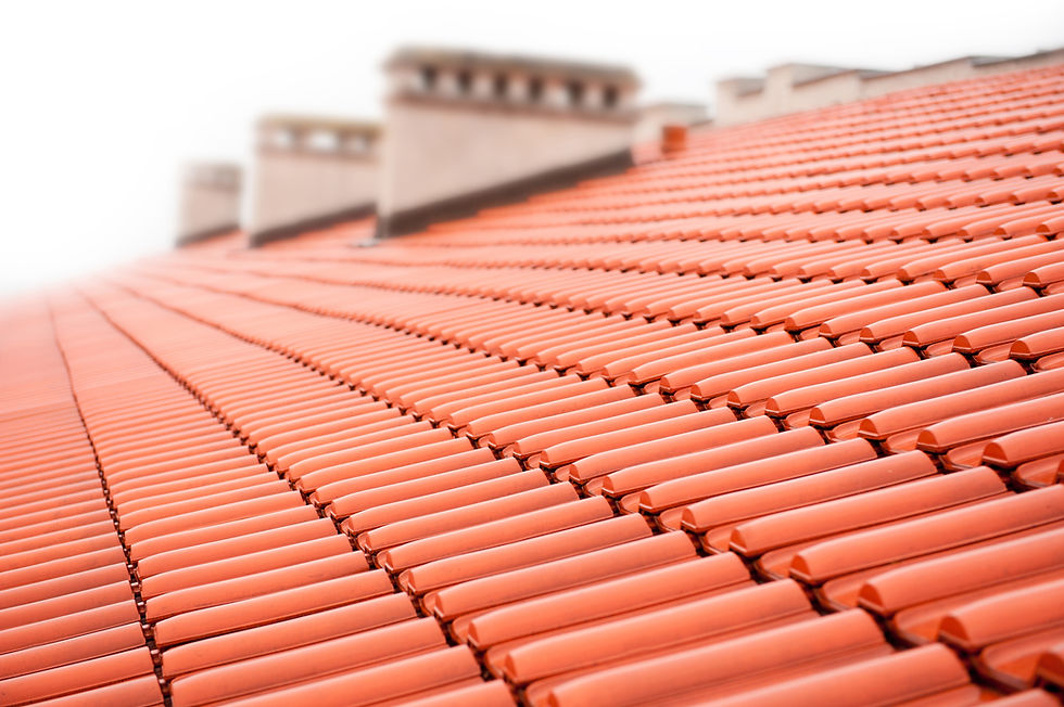 Close-up of bright orange clay roof tiles