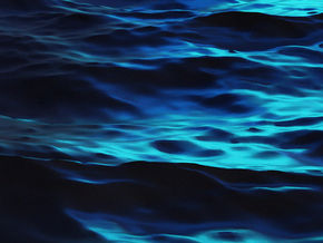 How Important Is It To Add Minerals?