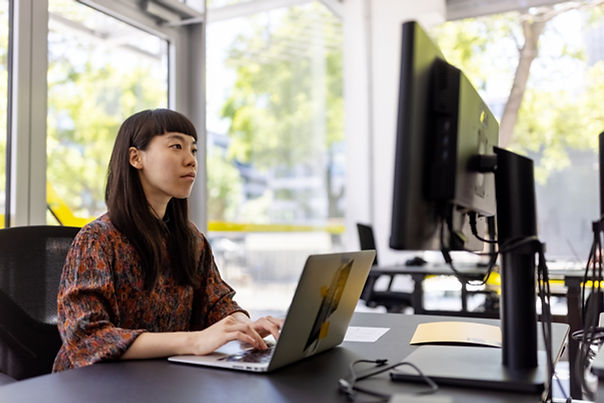 Programmer in Office