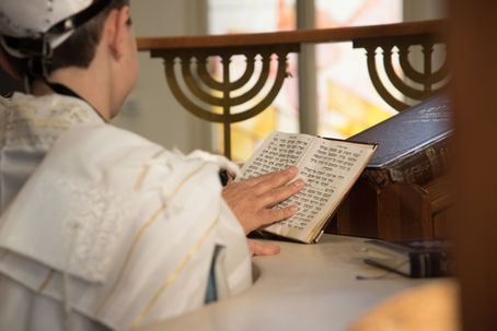 Article: Jewish Customs and Ceremonies - What is the Meaning of the Eternal Light in the Synagogue? By Daniel Gwertzman
