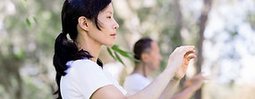 Entraînement de Tai Chi