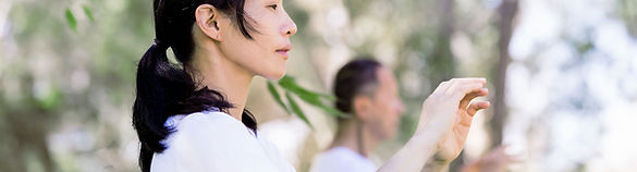 Outdoor Tai Chi Practice