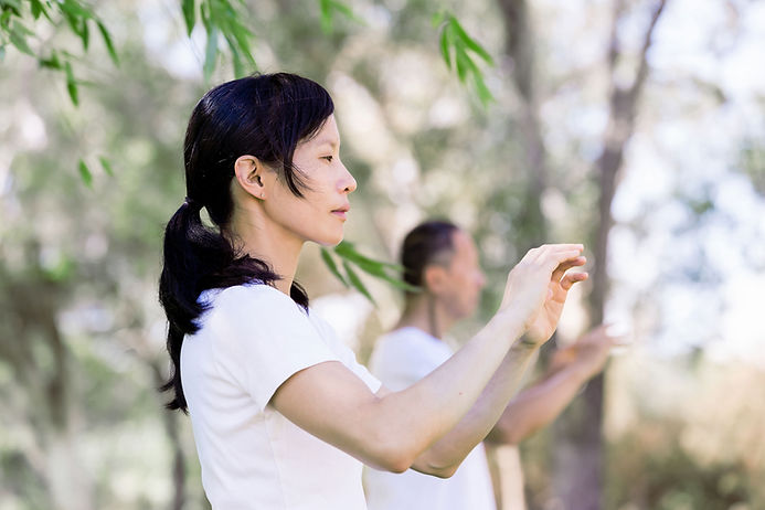 Prática de Tai Chi ao ar livre