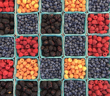 Moras frecas