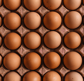 Eggs