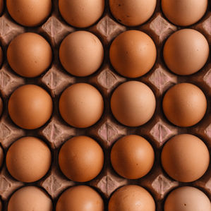 ¿Es bueno comer huevos sí o no?