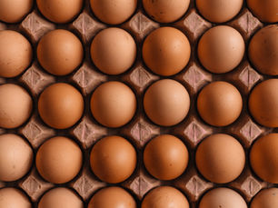 Unlocking the Anabolic Potential of Eggs: Insights from Vince Gironda