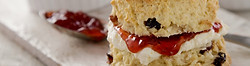 Fresh Baked Scones