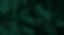 Green Satin