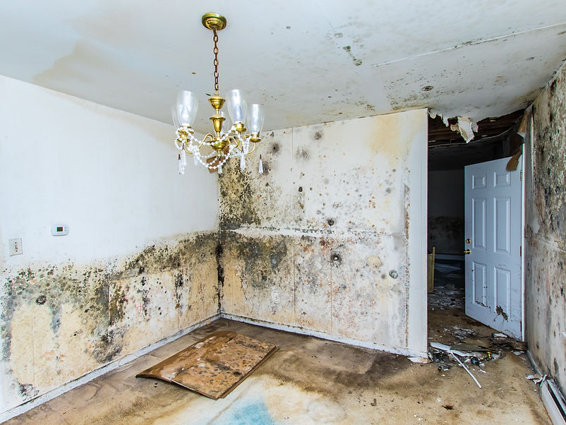 Chandelier hanging from a ceiling severely affected by black mould next to an open white door