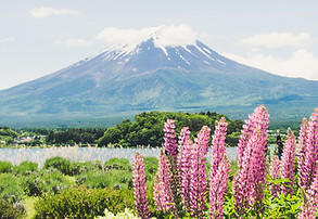 富士山観光ハイヤー