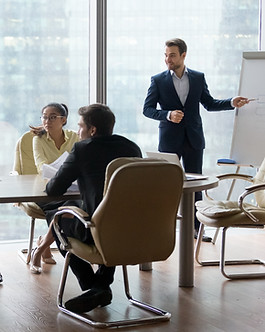 PBO-OBS professionl business plane services.