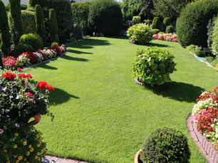 Lush green garden with trimmed shrubs and colorful flowerbeds lining the edges. Sunny day, creating shadows on the vibrant grass.