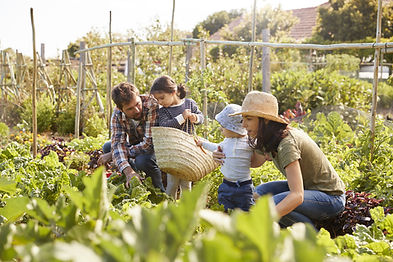 Family Garden