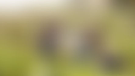 Season of Creation - September 14, 2024