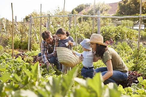 Family Garden