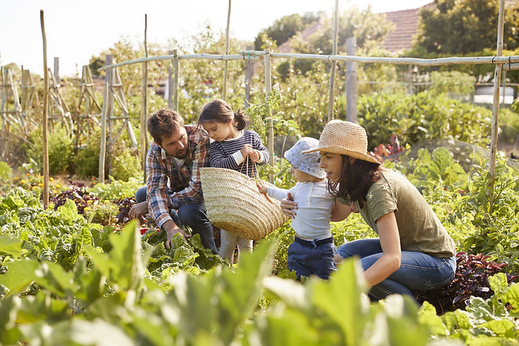 Family Garden