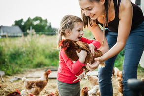 A young girl in a pink shirt holding a chicken for the first time while her young mother looks on with joy.