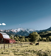 Scenic Farm Landscape