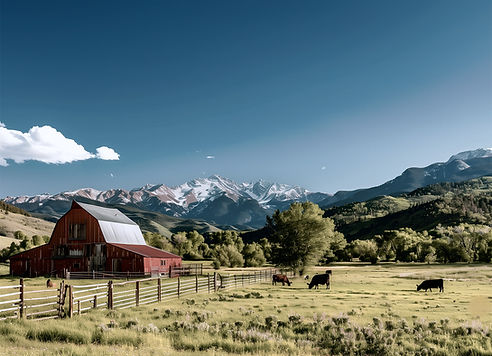 Rustic Barn and Cows