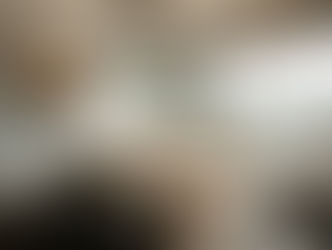 Weekly Digest – Office Operations Wins