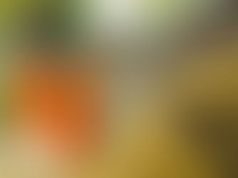 Thai Wisdom for a Better Year: Slowing Down, Finding Joy, and Nourishing the Soul