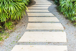 A concrete pathway surrounded by greenery