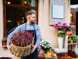 FRS 102 vs FRS 102 1A: Choosing the Right Accounting Standard for Your SME
