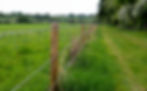 A new barbed wire fence runs along a farm field with walking path alongside