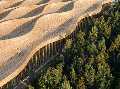 Wood Building Exterior