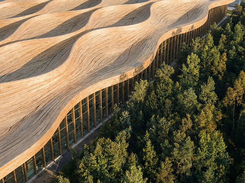 Wood Building Exterior