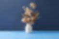 Bouquet of Dry Flowers