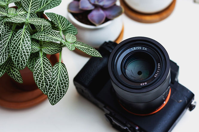 appareil photo professionnel