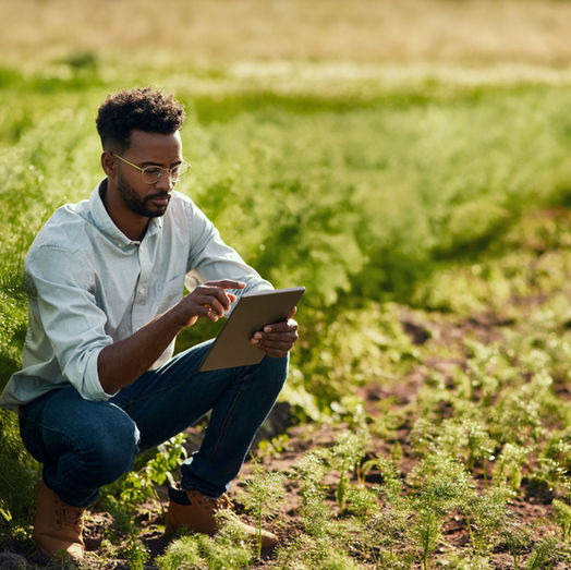 What a Real Farm Takes