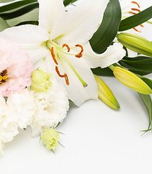 百合の花束