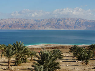 Two Theatres, One Week: The Hormuz Escalation and the Black Sea Attacks