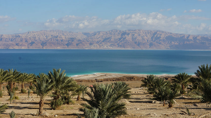 Oasis